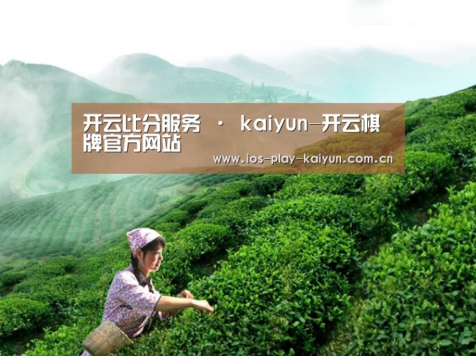 开云比分服务 · kaiyun-开云棋牌官方网站