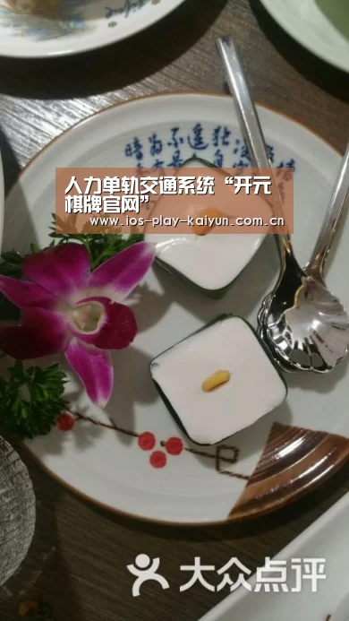 人力单轨交通系统“开元棋牌官网”