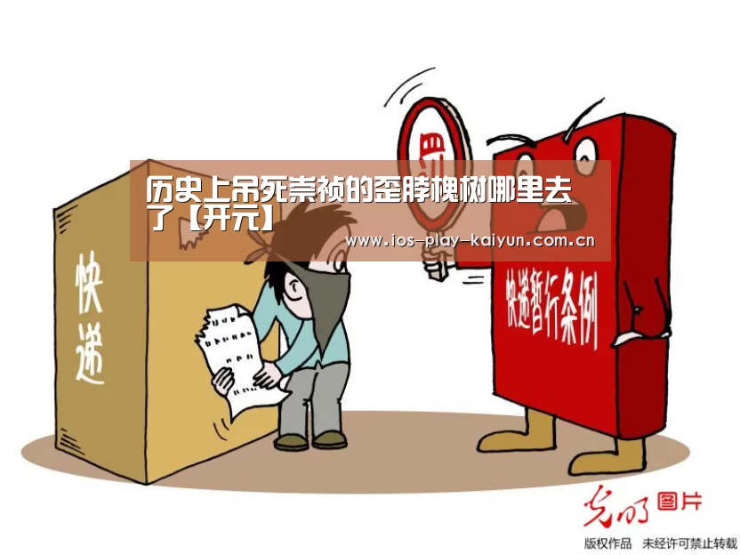 开云棋牌官网