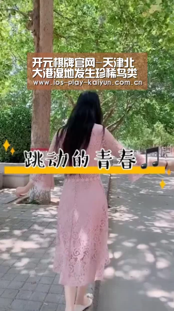 开元棋牌官网-天津北大港湿地发生珍稀鸟类中毒事件(图2) 开元棋牌网址