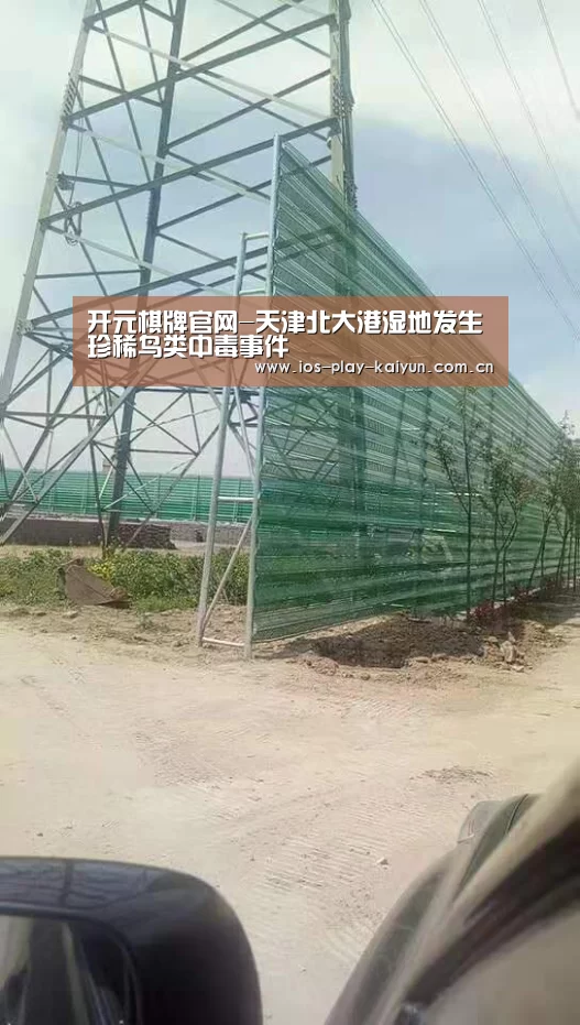 开元棋牌官网-天津北大港湿地发生珍稀鸟类中毒事件