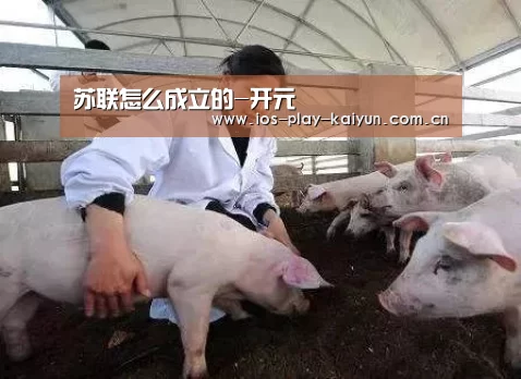 苏联怎么成立的-开元(图1) 开云棋牌官网