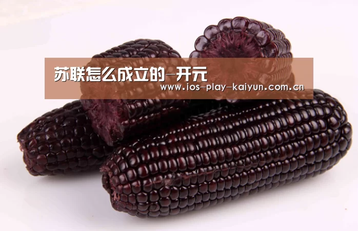 苏联怎么成立的-开元(图3) 开元棋牌网址