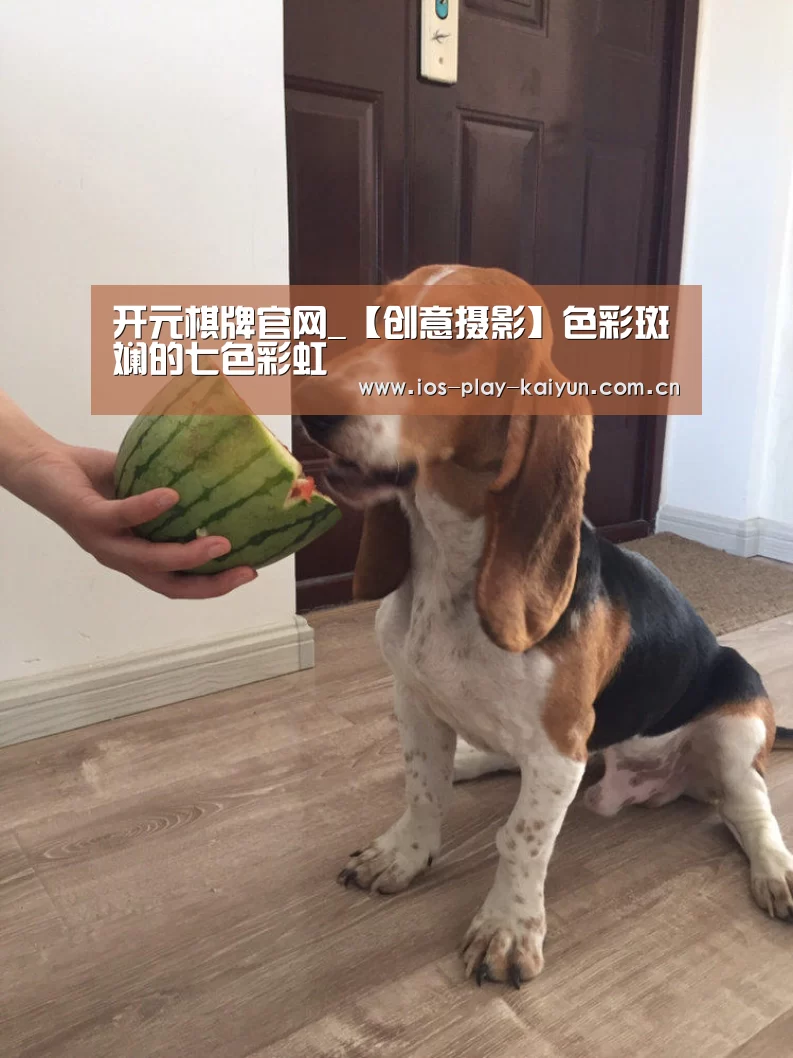 开元棋牌官网_【创意摄影】色彩斑斓的七色彩虹