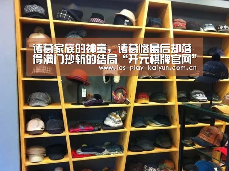 诸葛家族的神童,诸葛恪最后却落得满门抄斩的结局“开元棋牌官网”(图1) 开元棋牌官网