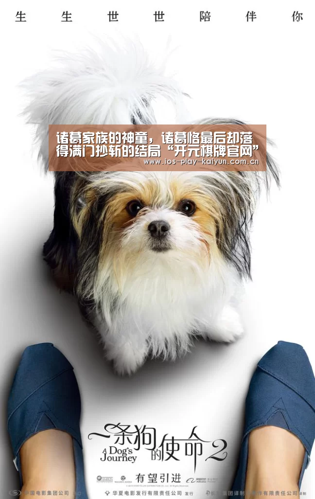 诸葛家族的神童,诸葛恪最后却落得满门抄斩的结局“开元棋牌官网”(图4) 开元棋牌网址