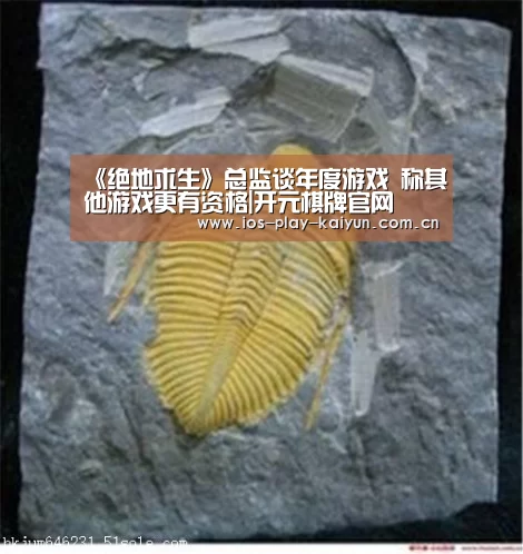 《绝地求生》总监谈年度游戏 称其他游戏更有资格|开元棋牌官网(图1) 开元