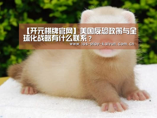 【开元棋牌官网】美国反恐政策与全球化战略有什么联系?(图2) 开云棋牌官网