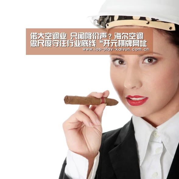 偌大空调业 只闻降价声?海尔空调做尺度守住行业底线“开元棋牌网址”(图2) 开元