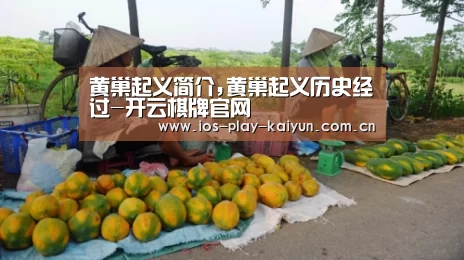 黄巢起义简介,黄巢起义历史经过-开云棋牌官网(图3) 开元棋牌网址