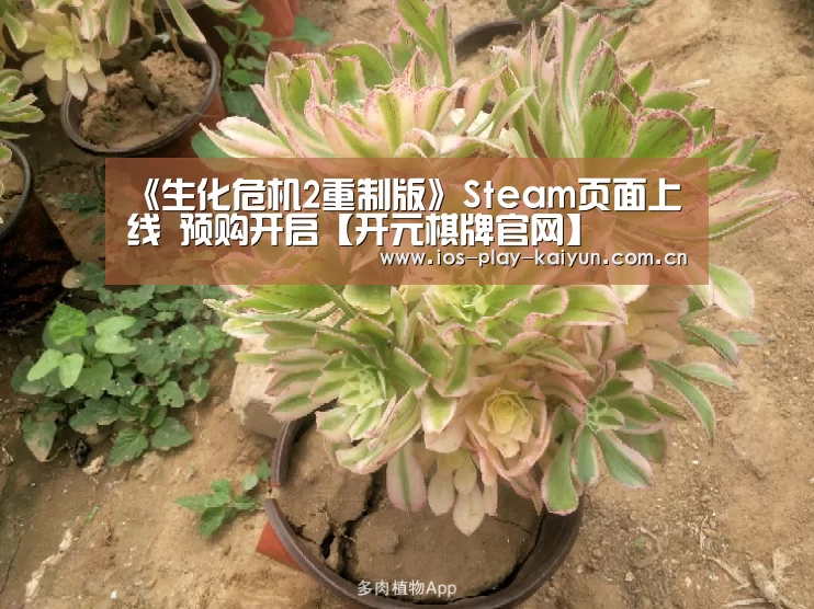 开元棋牌网址