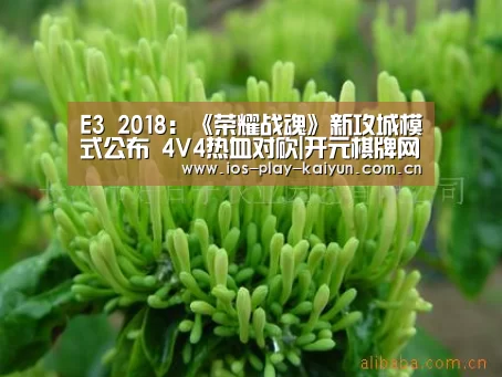 E3 2018:《荣耀战魂》新攻城模式公布 4V4热血对砍|开元棋牌网址(图2) 开元