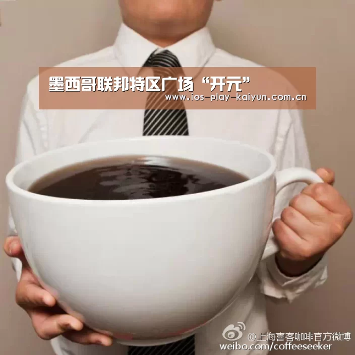 墨西哥联邦特区广场“开元”